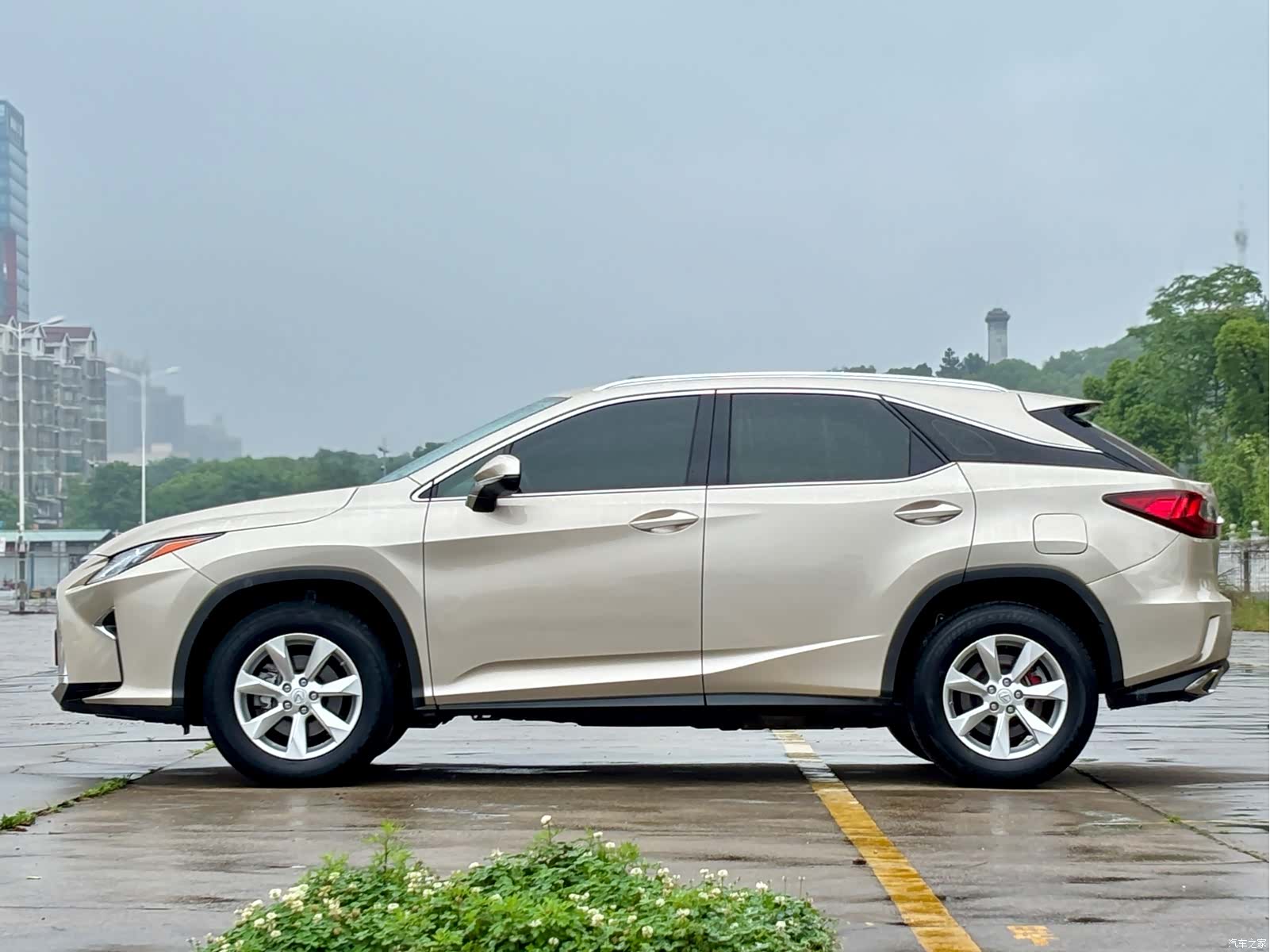 Lexus RX, 2017 4