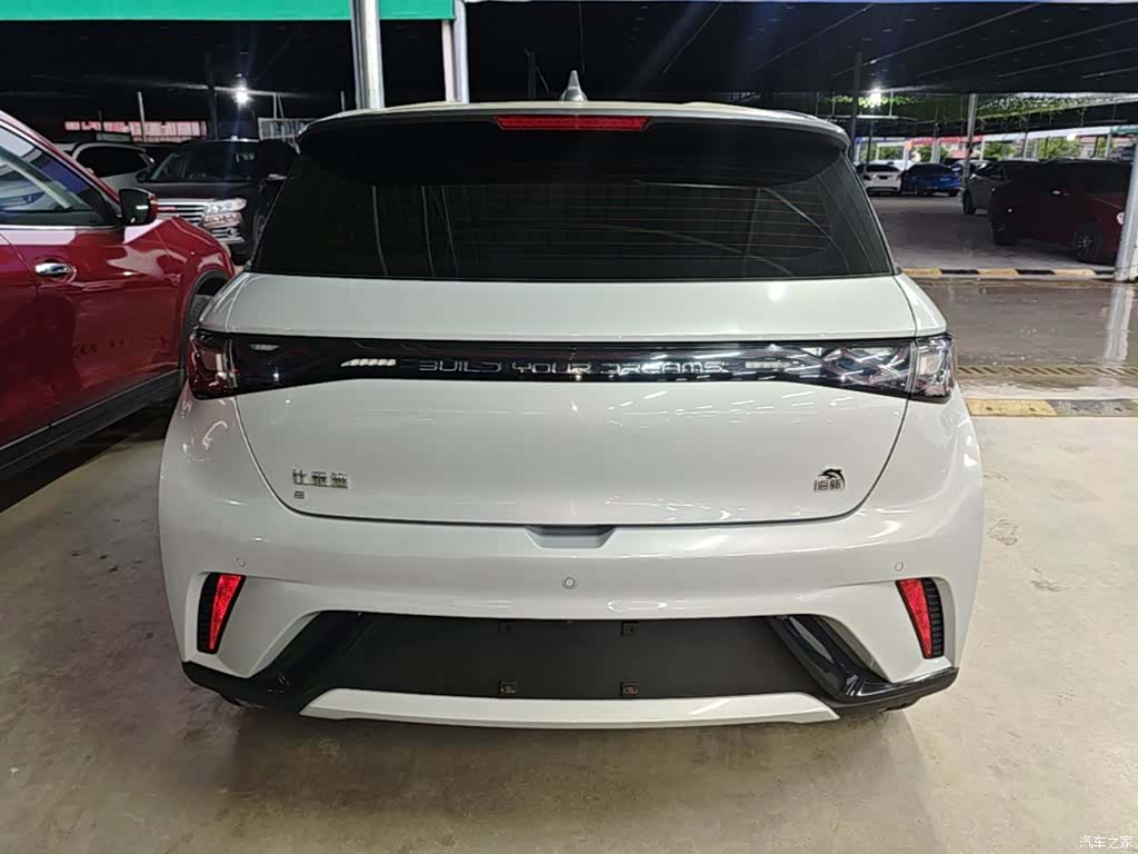 BYD Dolphin, 2022 6