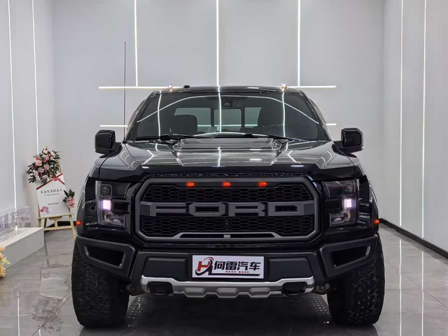 Ford F-150 Raptor 2019, фото 2