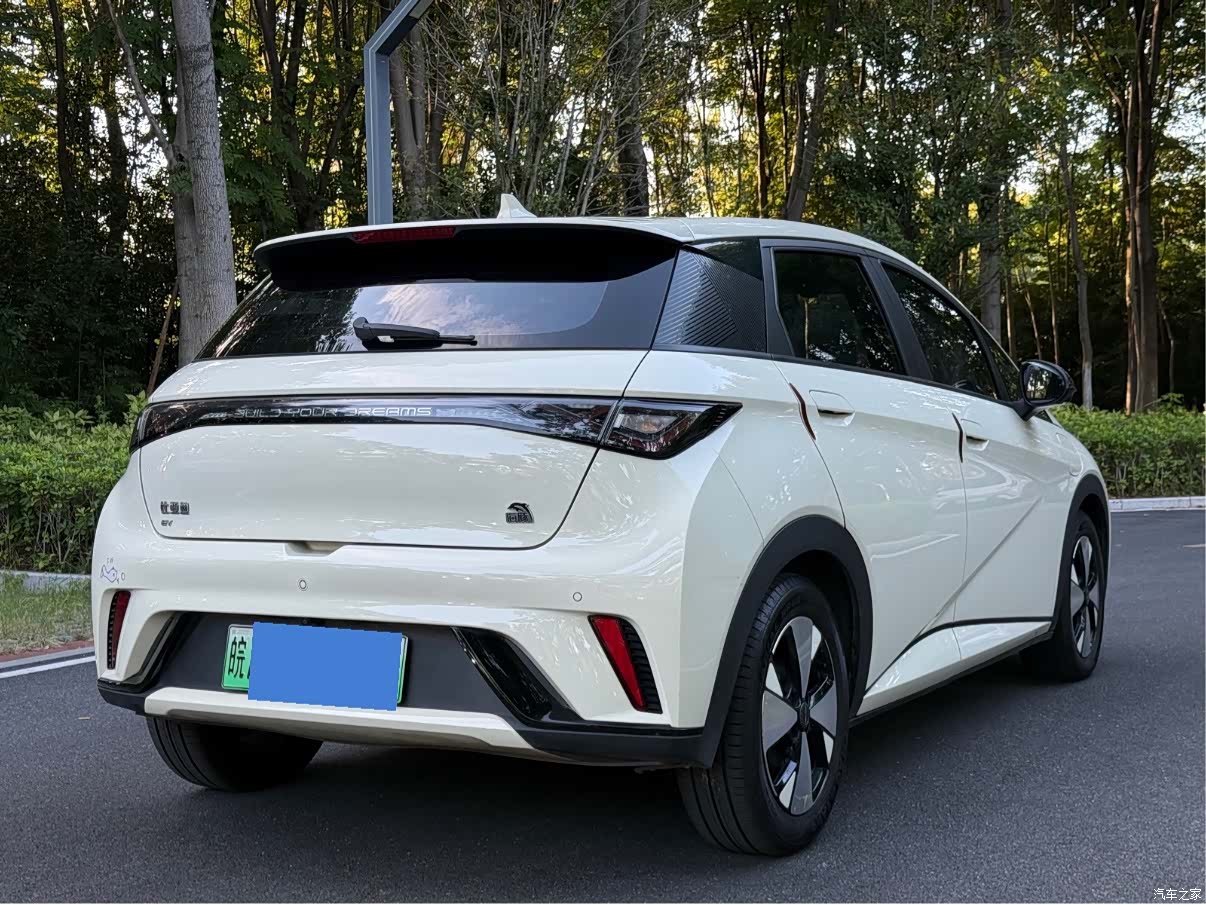 BYD Dolphin, 2023 4
