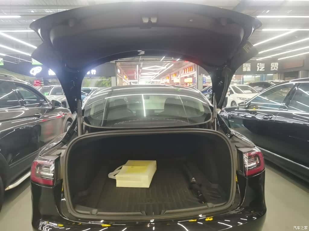 Tesla Model 3, 2021 19