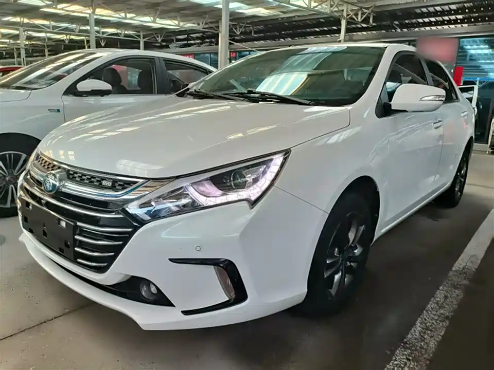 BYD Qinxin Energy
