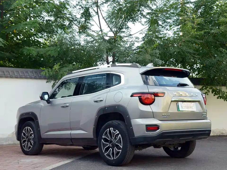 Haval Second-generation big dog