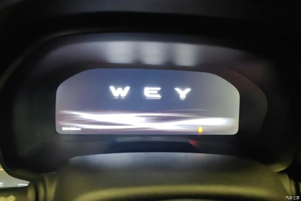 WEY P8, 2018 14