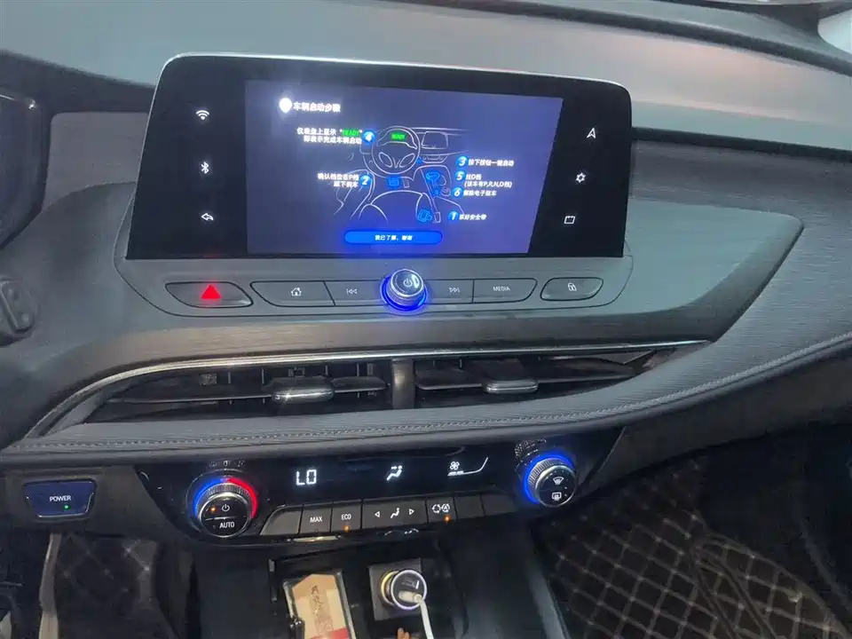 Buick Slightly blue 6