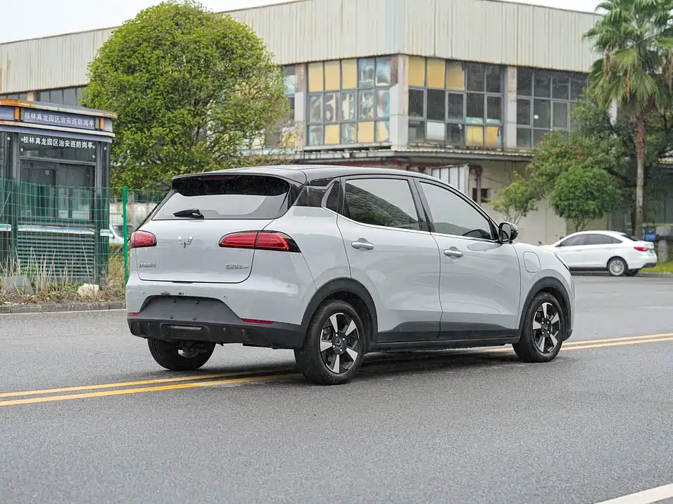 Wuling Wuling Bingguo PLUS