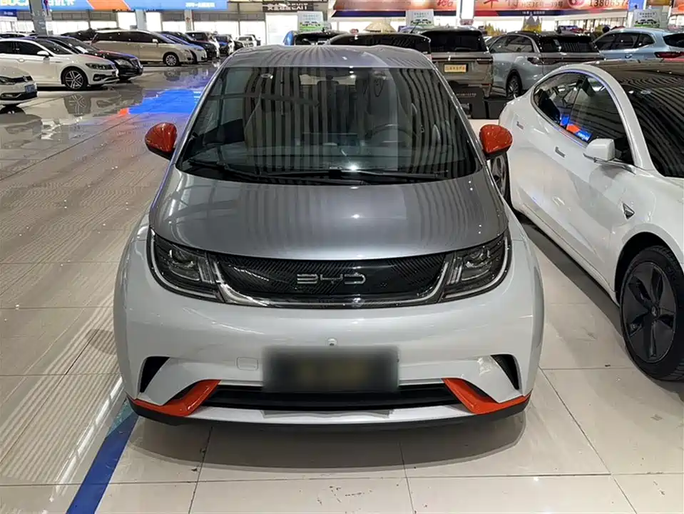 BYD dolphin