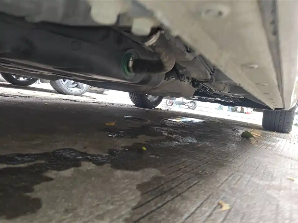 Wuling Wuling Capgemini