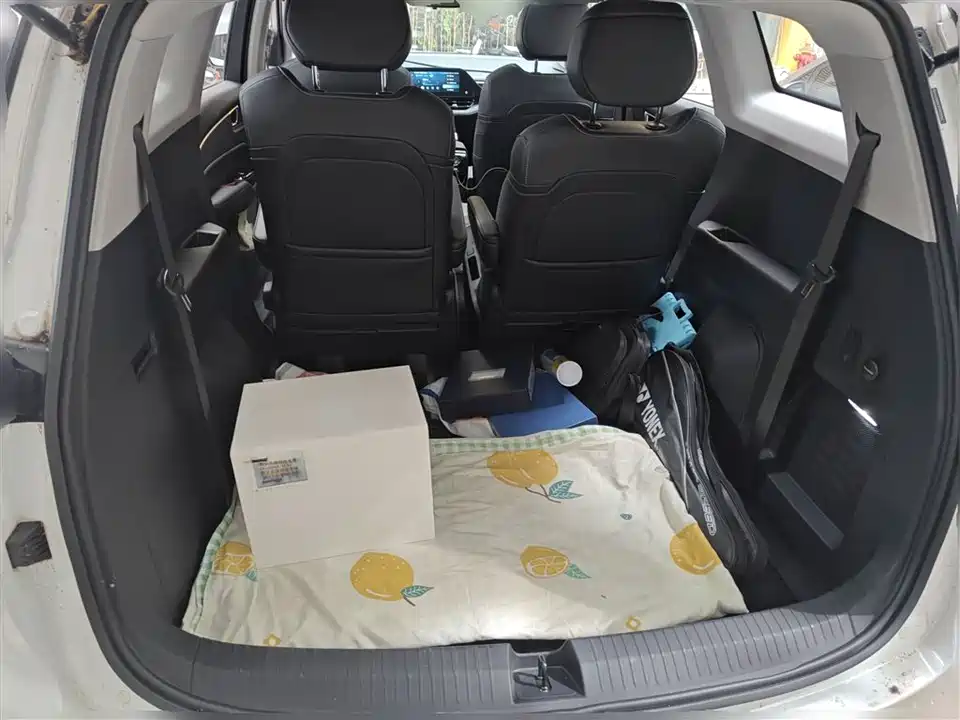 Wuling Wuling Capgemini