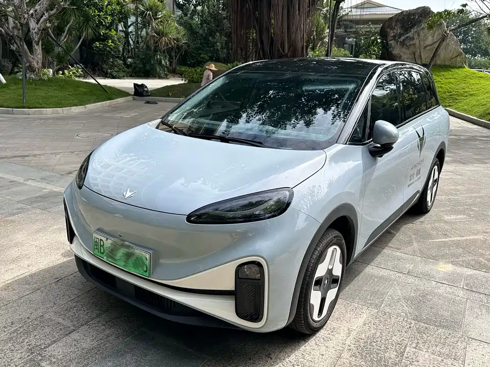 ARCFOX Polar fox koala