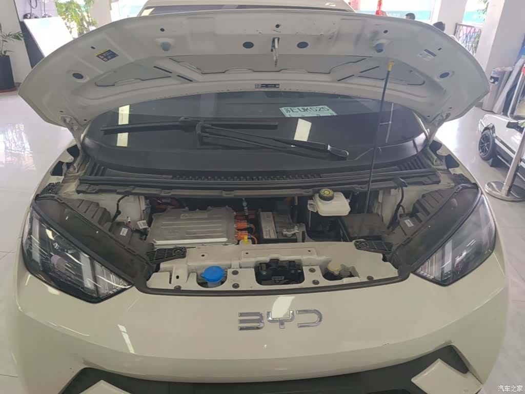BYD Seagull, 2024 20