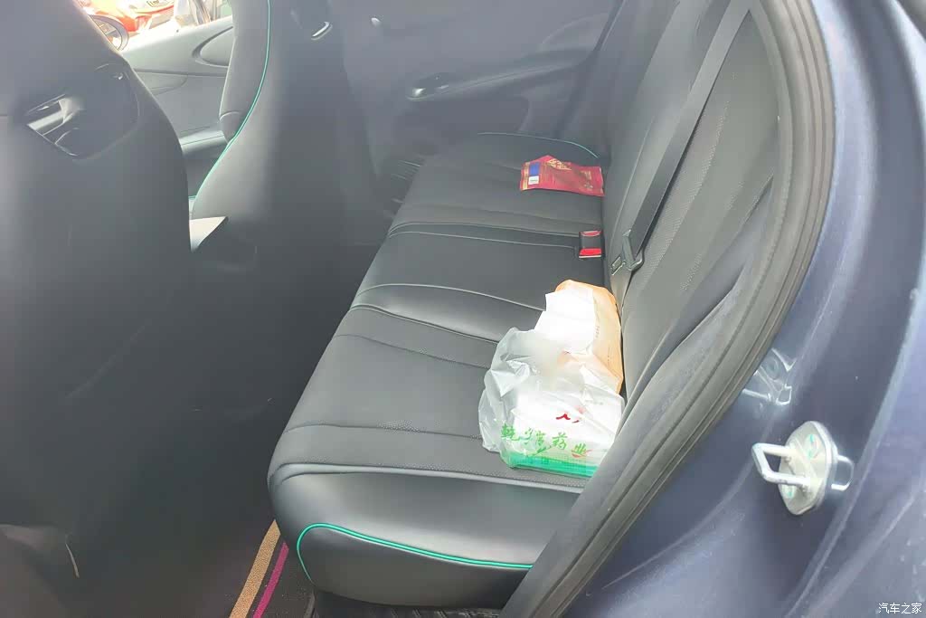 BYD Dolphin, 2024 11