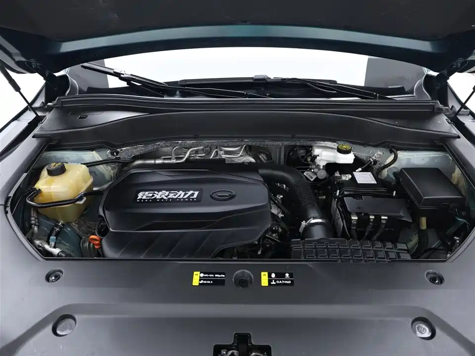 Trumpchi Trumpchi GS8