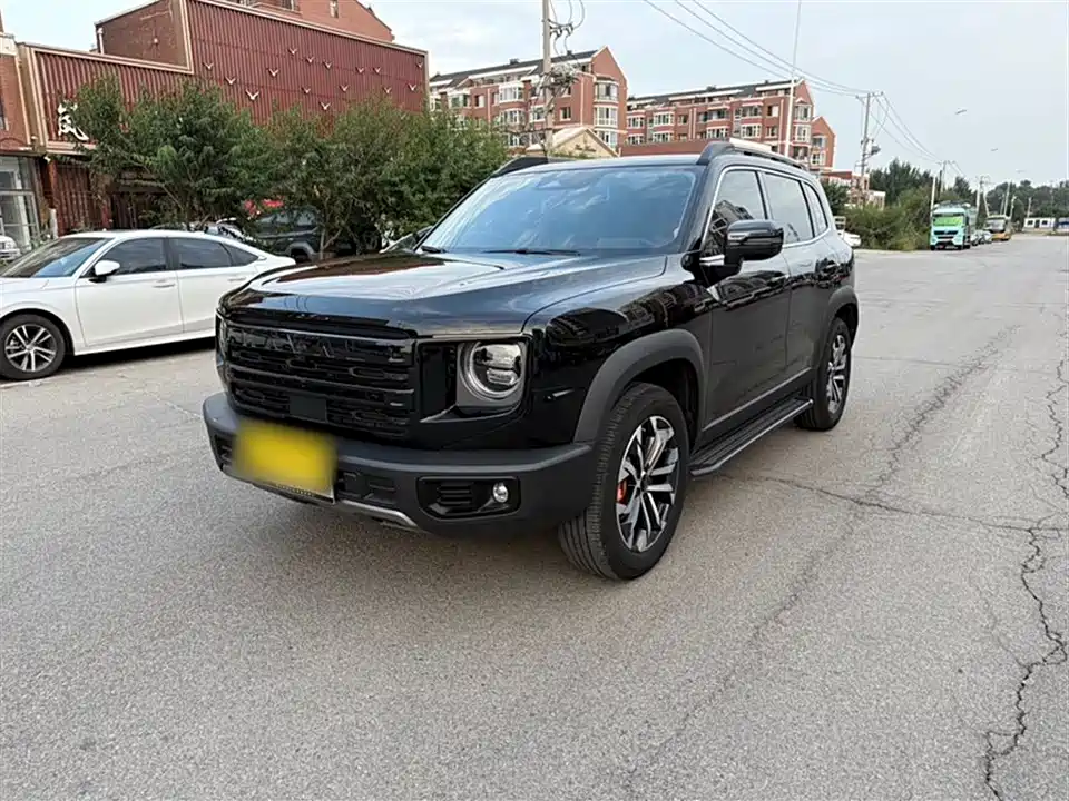 Haval Big dog