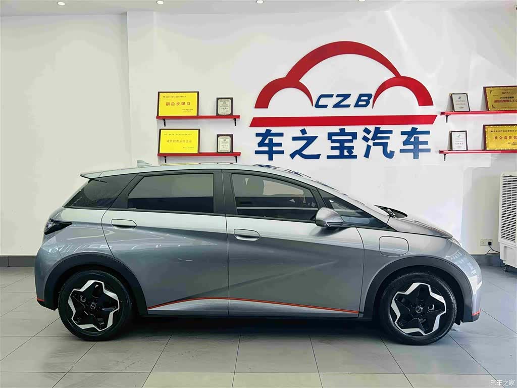 BYD Dolphin, 2022 8