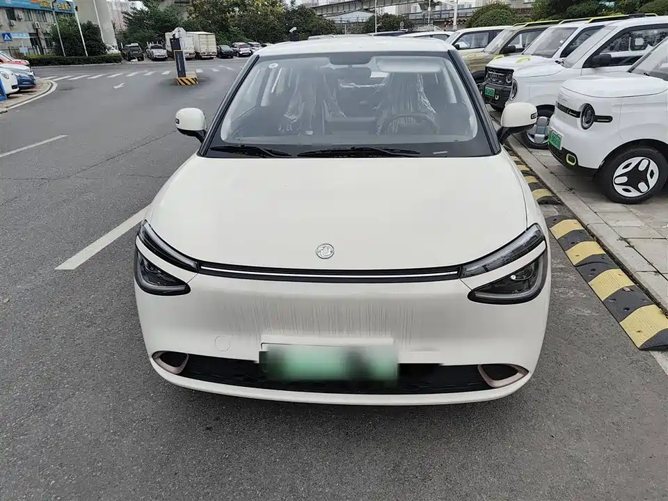 Dongfeng Nammi Nano 01