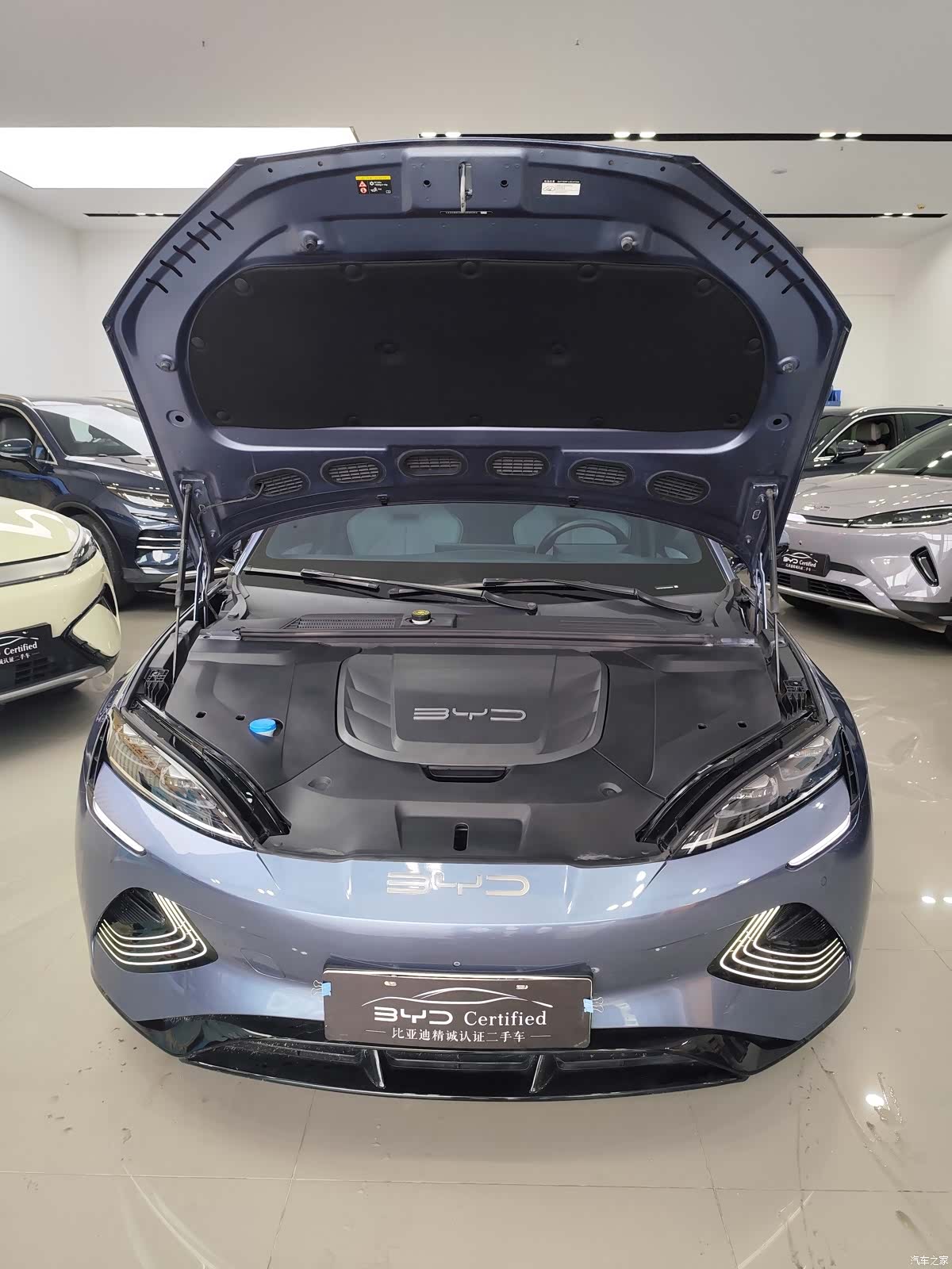 BYD Seal, 2022 15