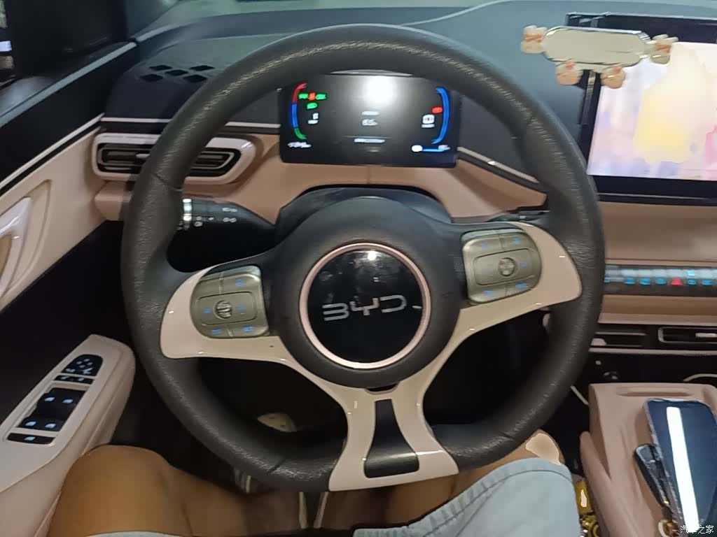 BYD Seagull, 2024 11