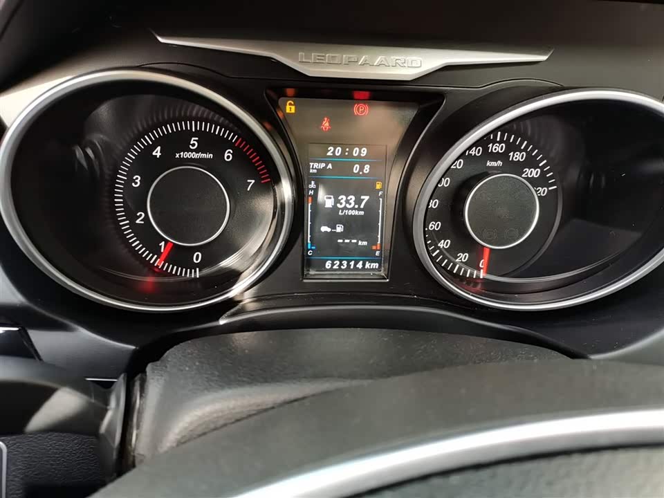 Leopaard Cheetah CS10