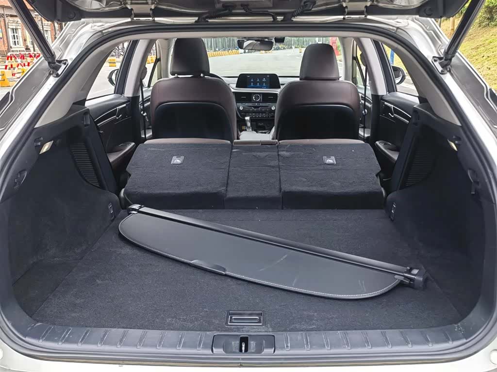 Lexus RX, 2019 11