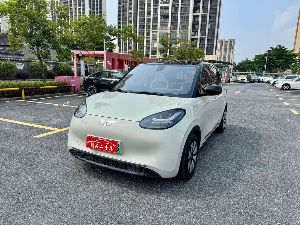Wuling Binguo 2023 333km +