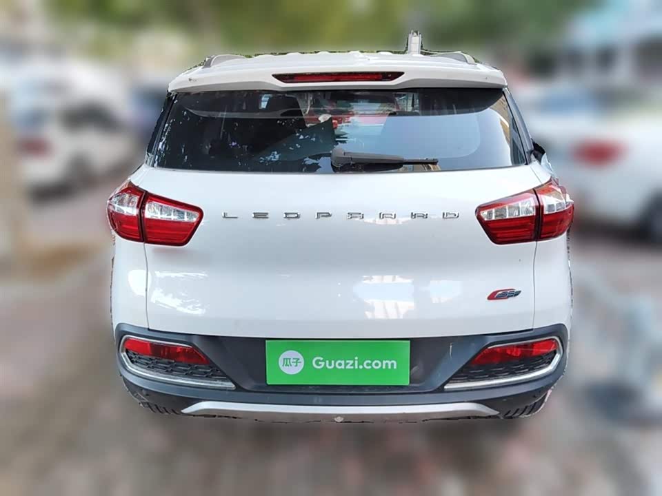 Leopaard Cheetah CS9