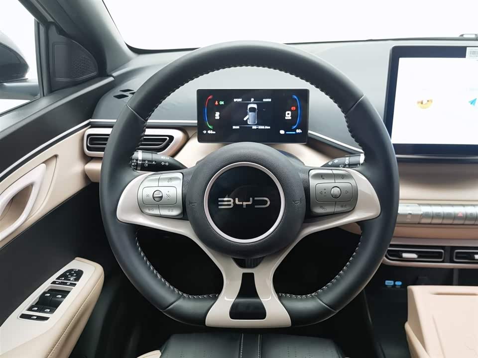 BYD Seagull