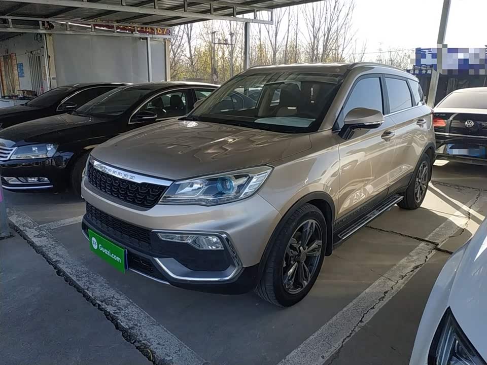 Leopaard Cheetah CS9