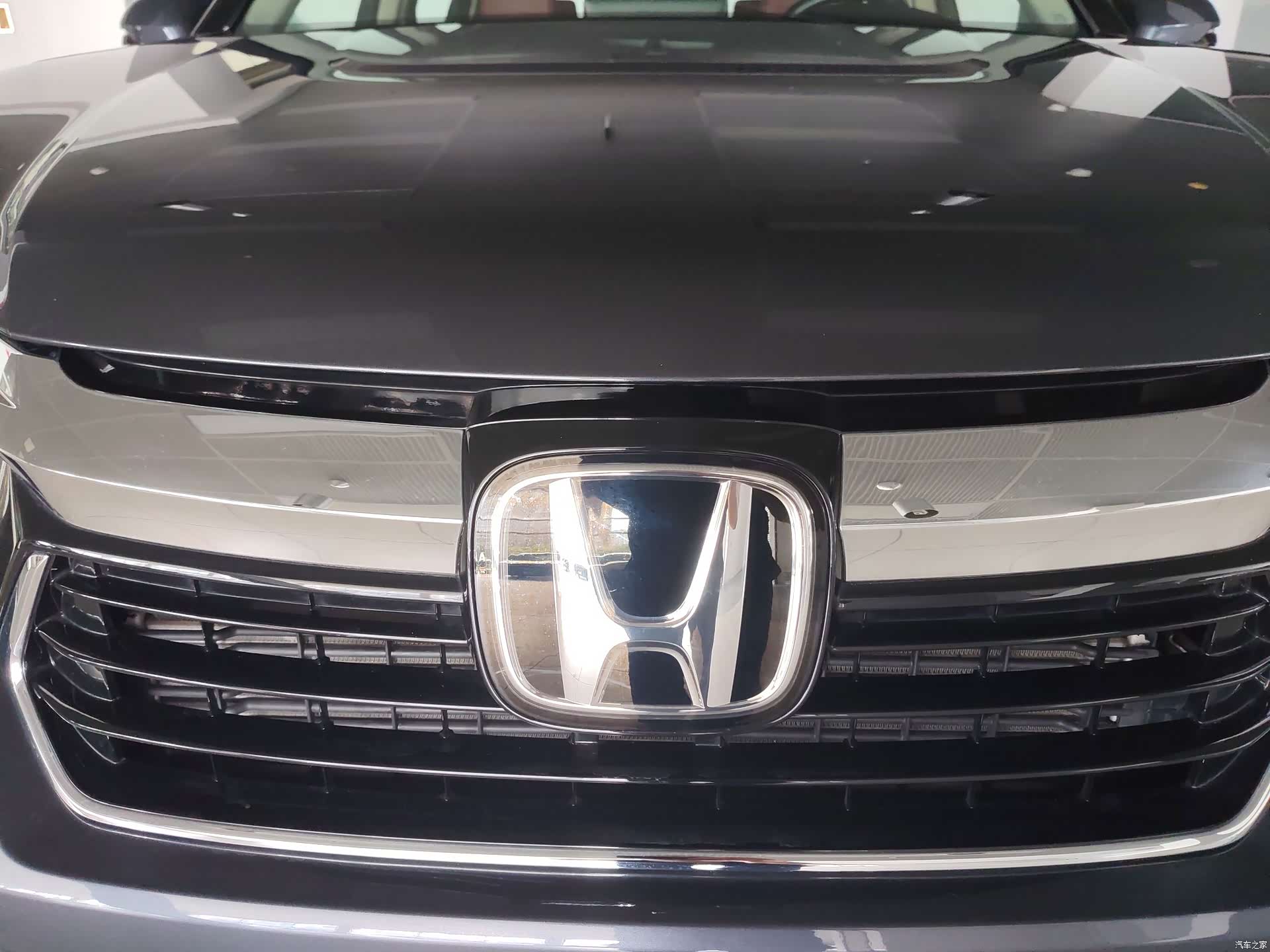 Honda Avancier, 2023 все фото