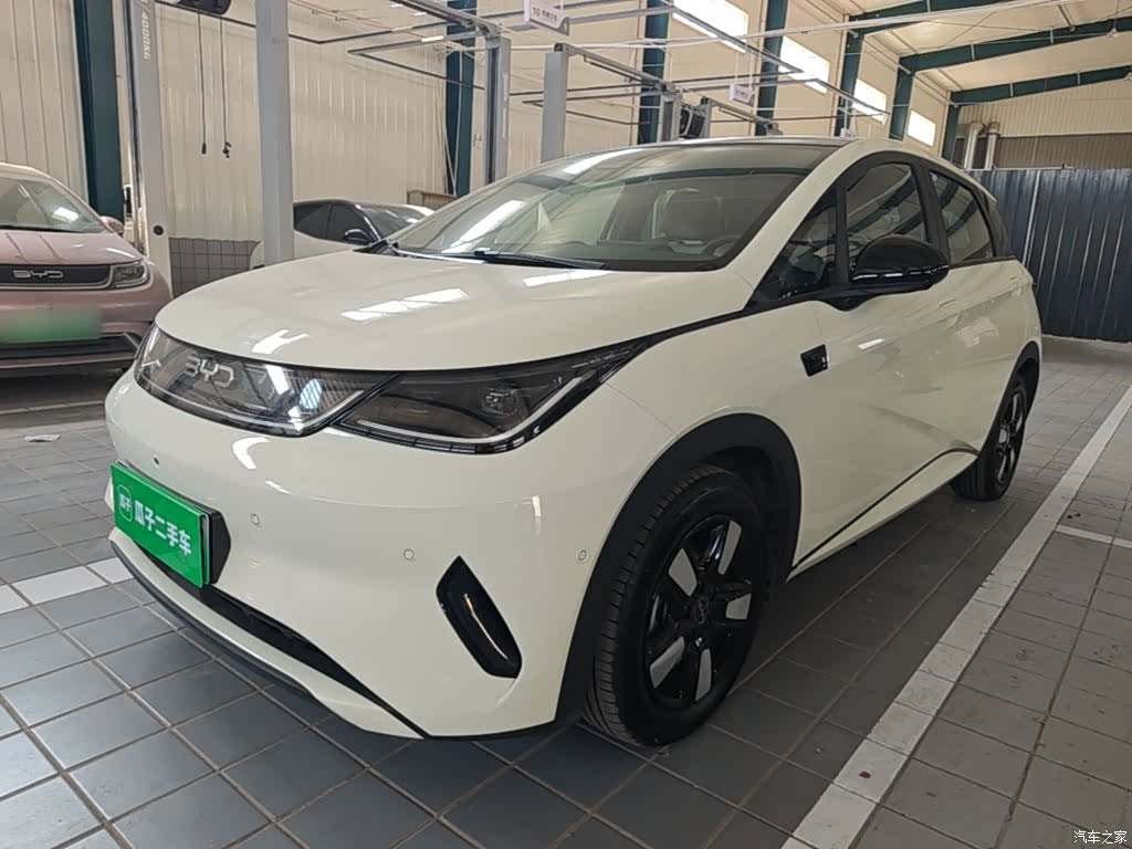 BYD Dolphin, 2025 2