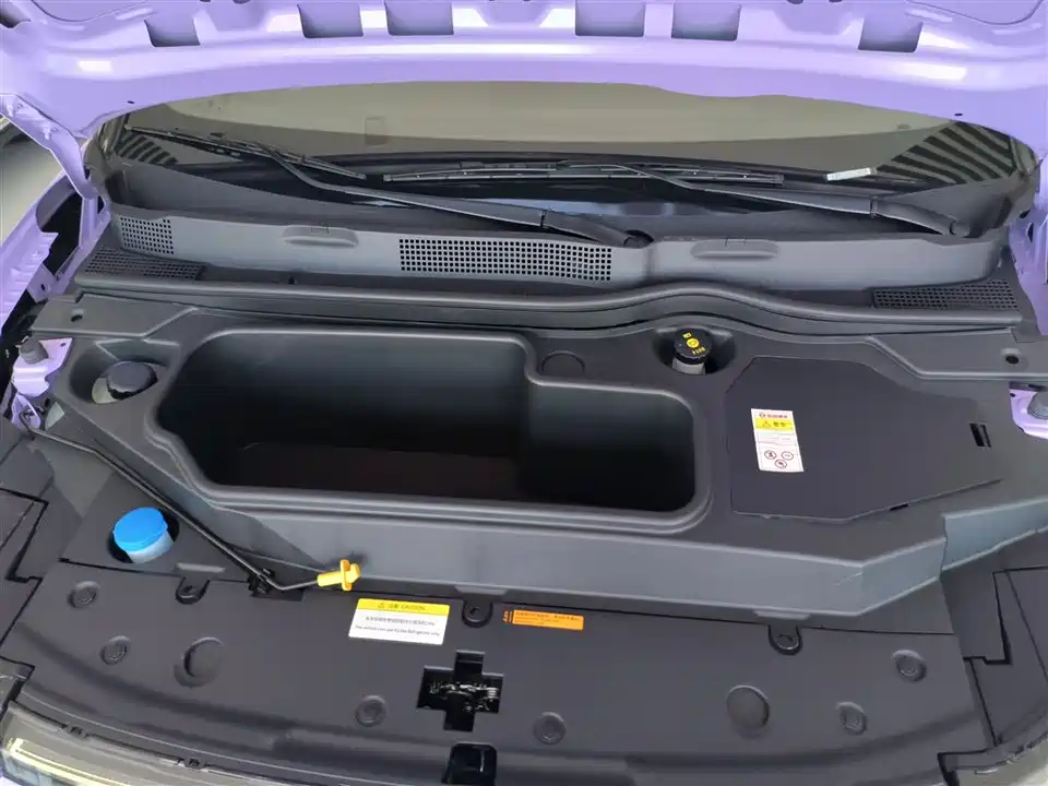 Dongfeng Nammi Nano 01