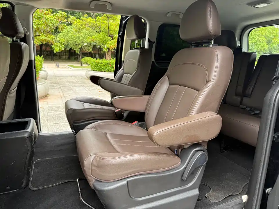 Forthing Lingzhi PLUS