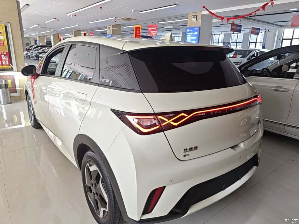 BYD Dolphin, 2023 все фото