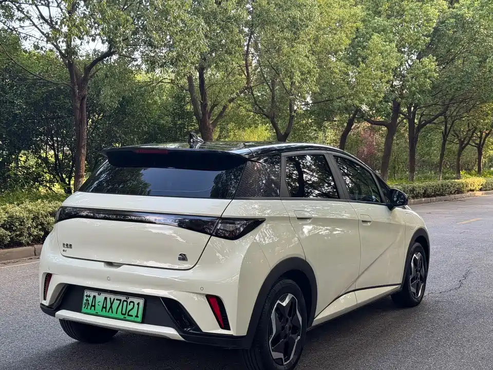 BYD dolphin
