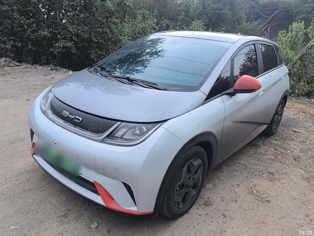 BYD Dolphin, 2021 2