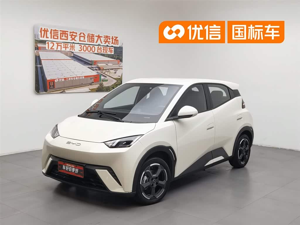 BYD Seagull