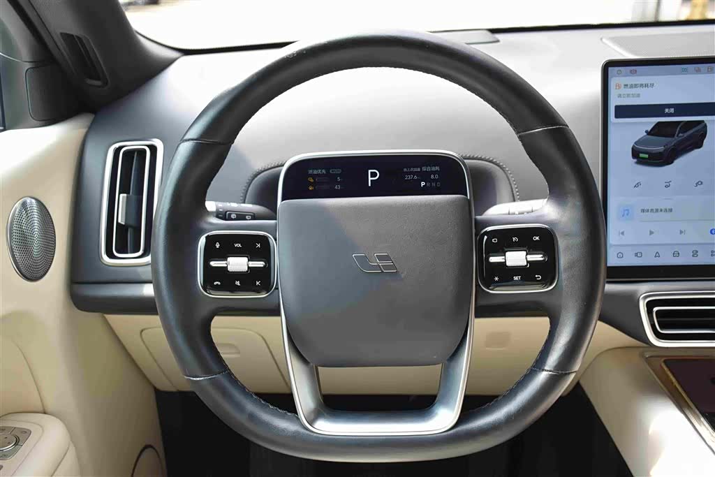 Li Auto L9, 2022 14