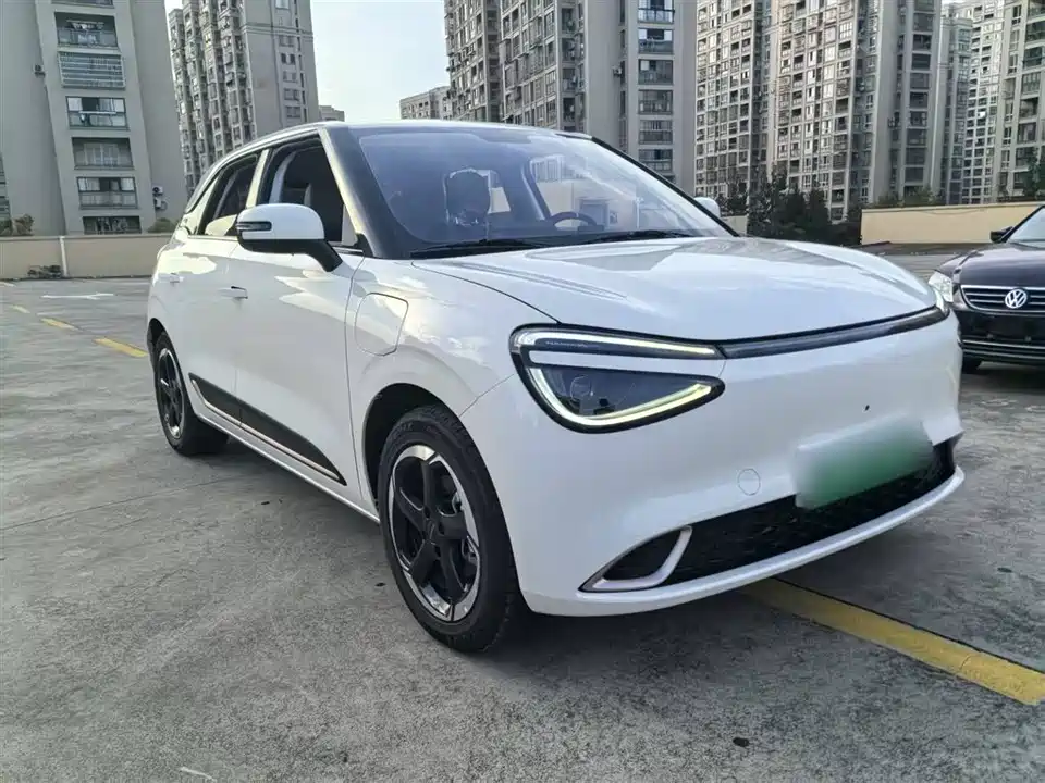 Dongfeng Nammi Nano 01