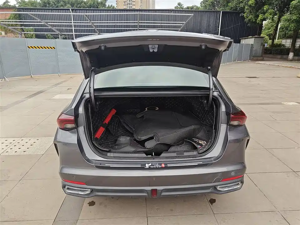 Trumpchi Shadow Leopard