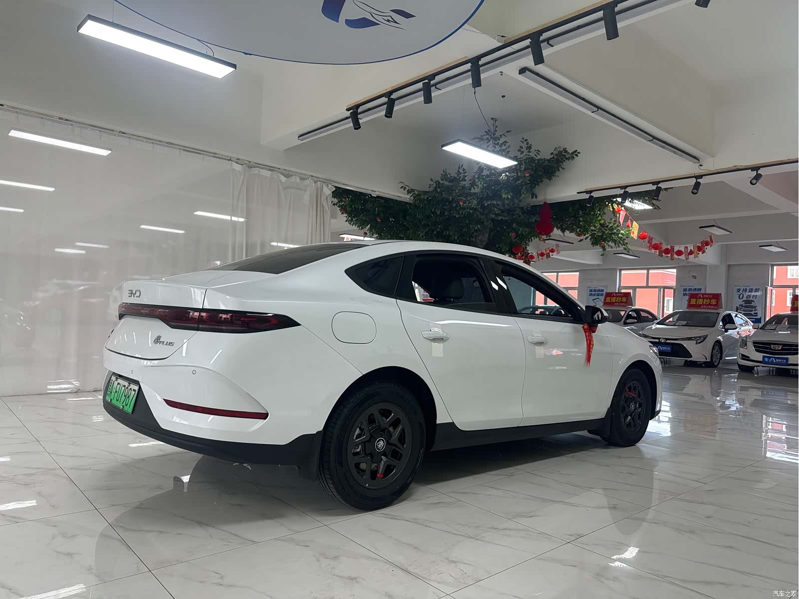 BYD Qin, 2025 все фото