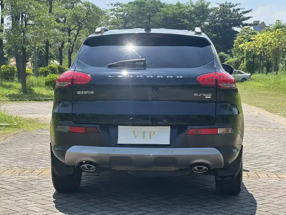 Leopaard Cheetah CS10