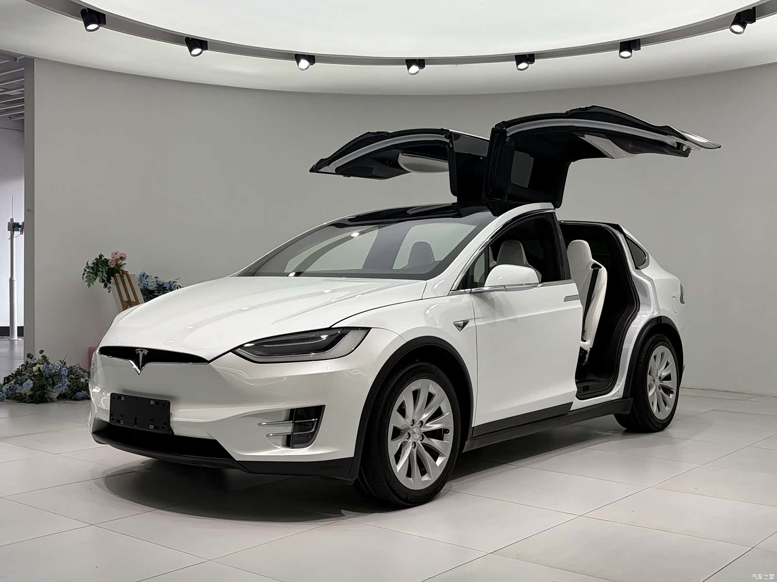 Tesla Model X, 2019 1