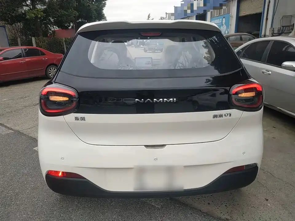 Dongfeng Nammi Nano 01