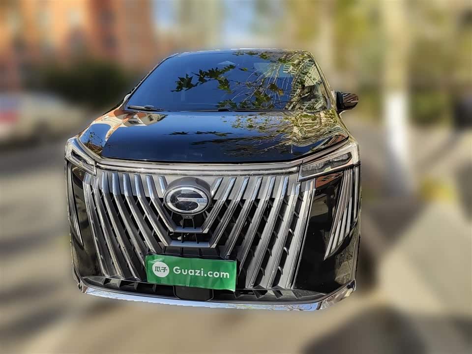 Trumpchi Trumpchi M8