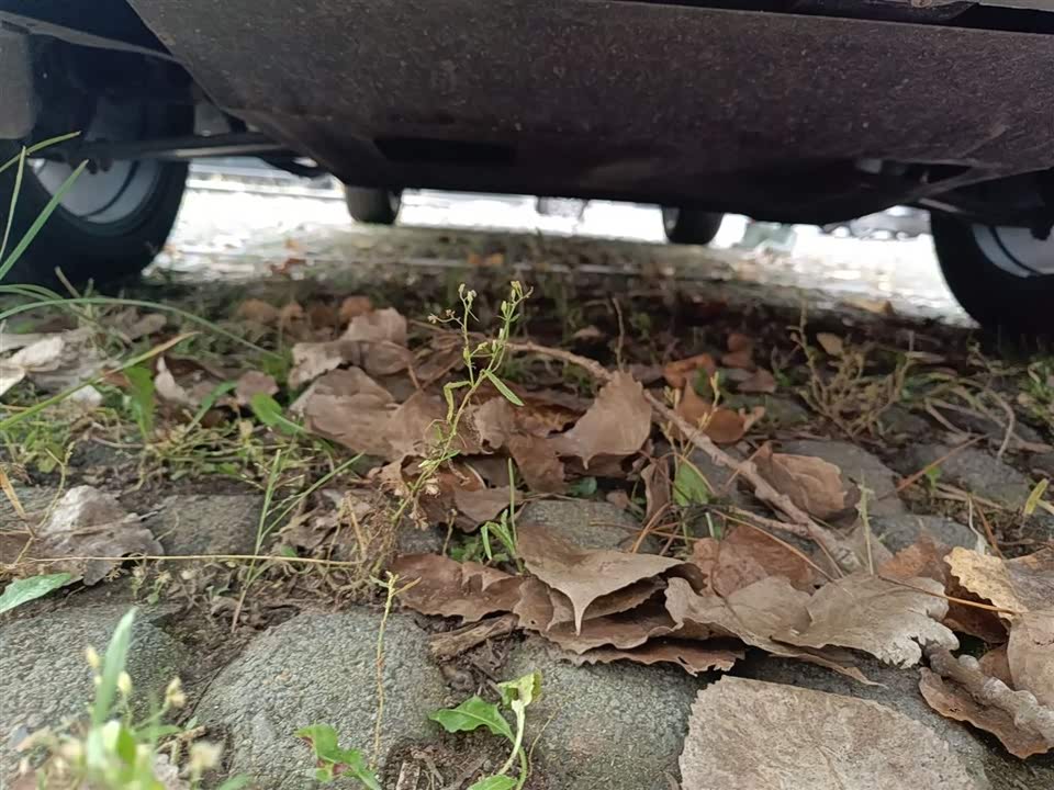 Trumpchi Trumpchi GS4