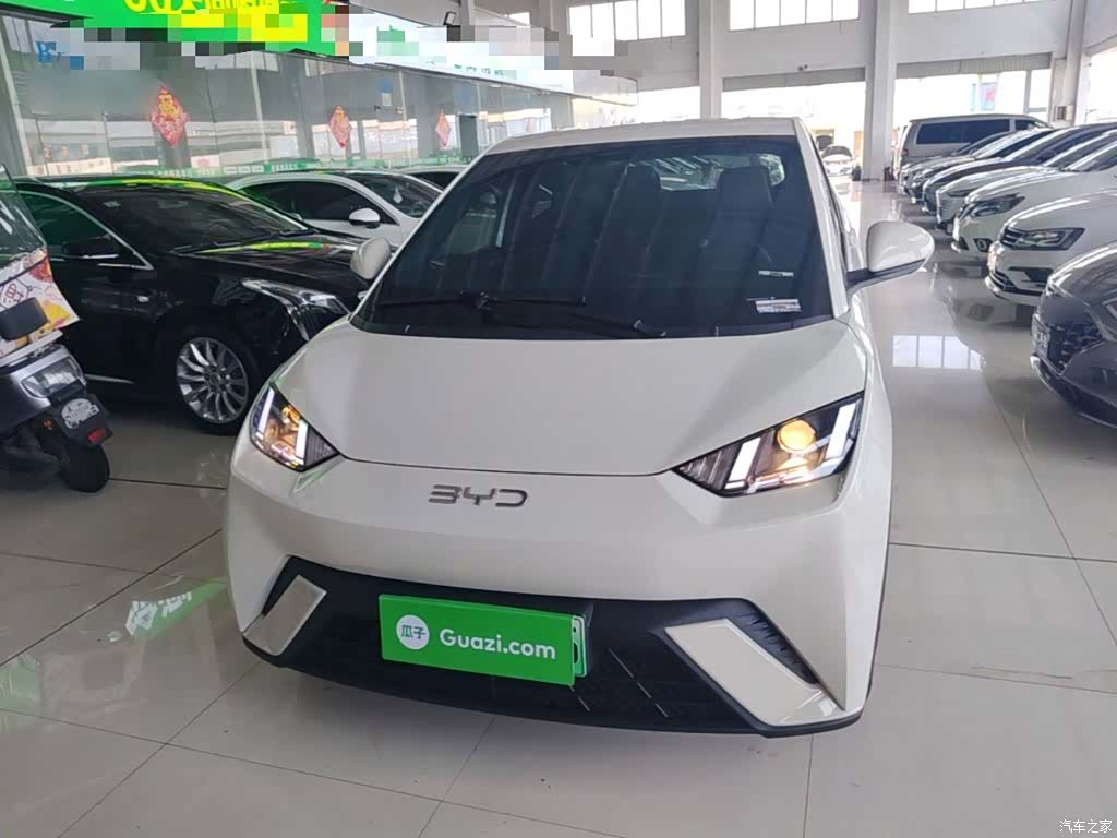 BYD Seagull, 2024 2