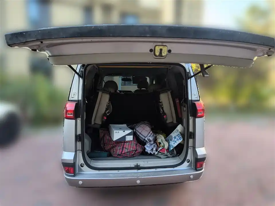 Dongfeng Handsome guest