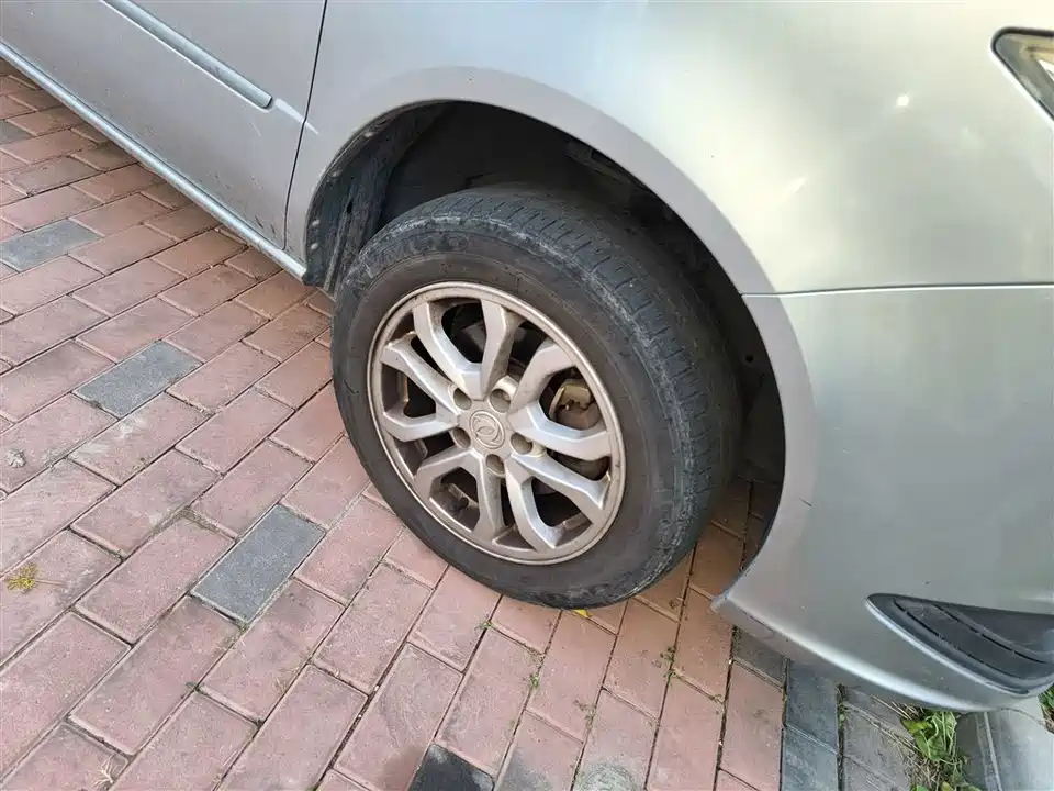 Dongfeng Handsome guest