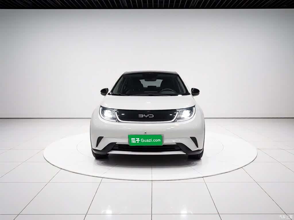 BYD Dolphin, 2024 24