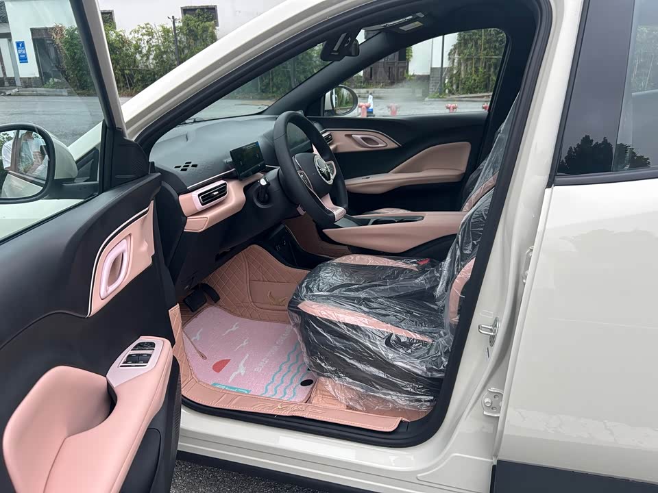 BYD Seagull